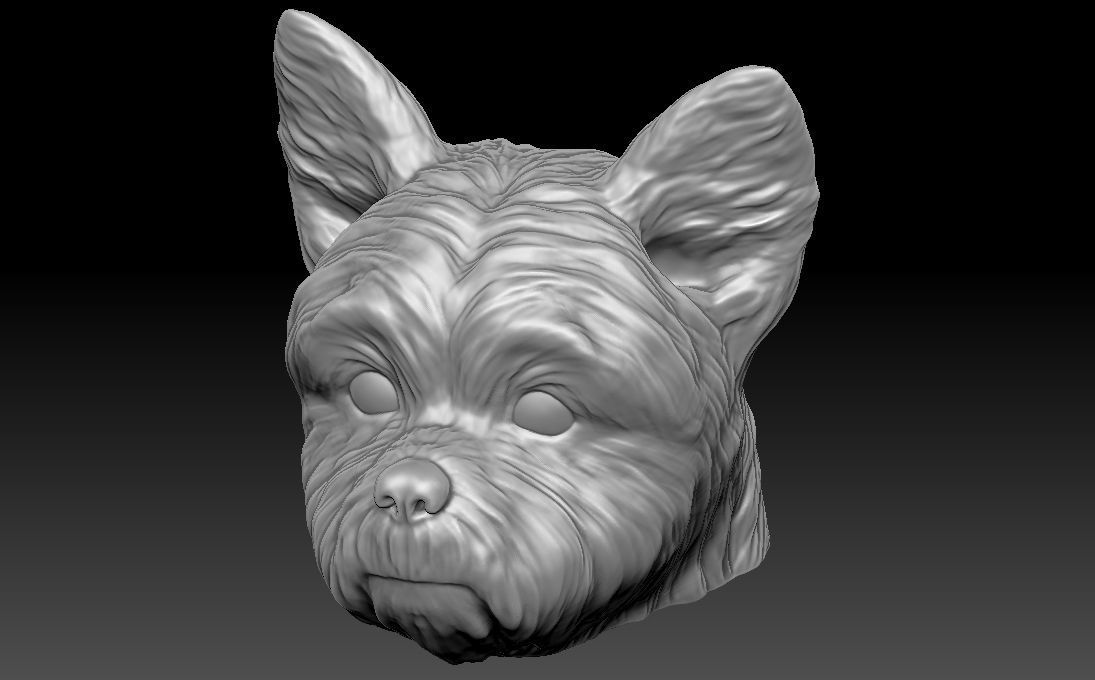 Yorkshire Terrier head for 3D printing 3D print model_15
