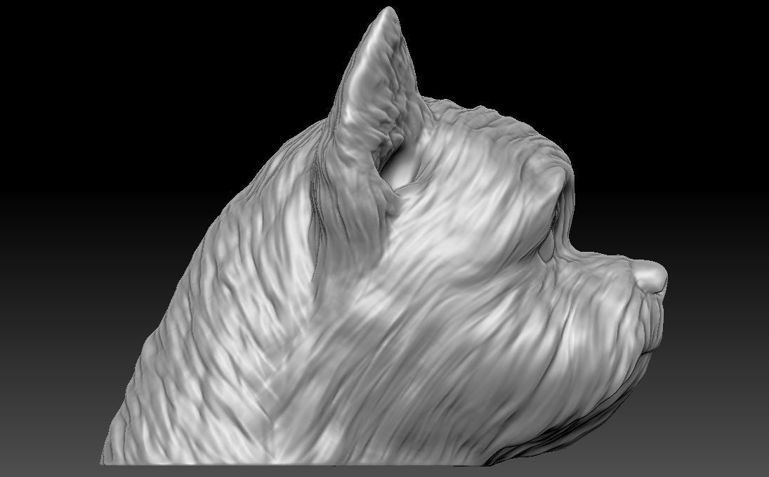 Yorkshire Terrier head for 3D printing 3D print model_12