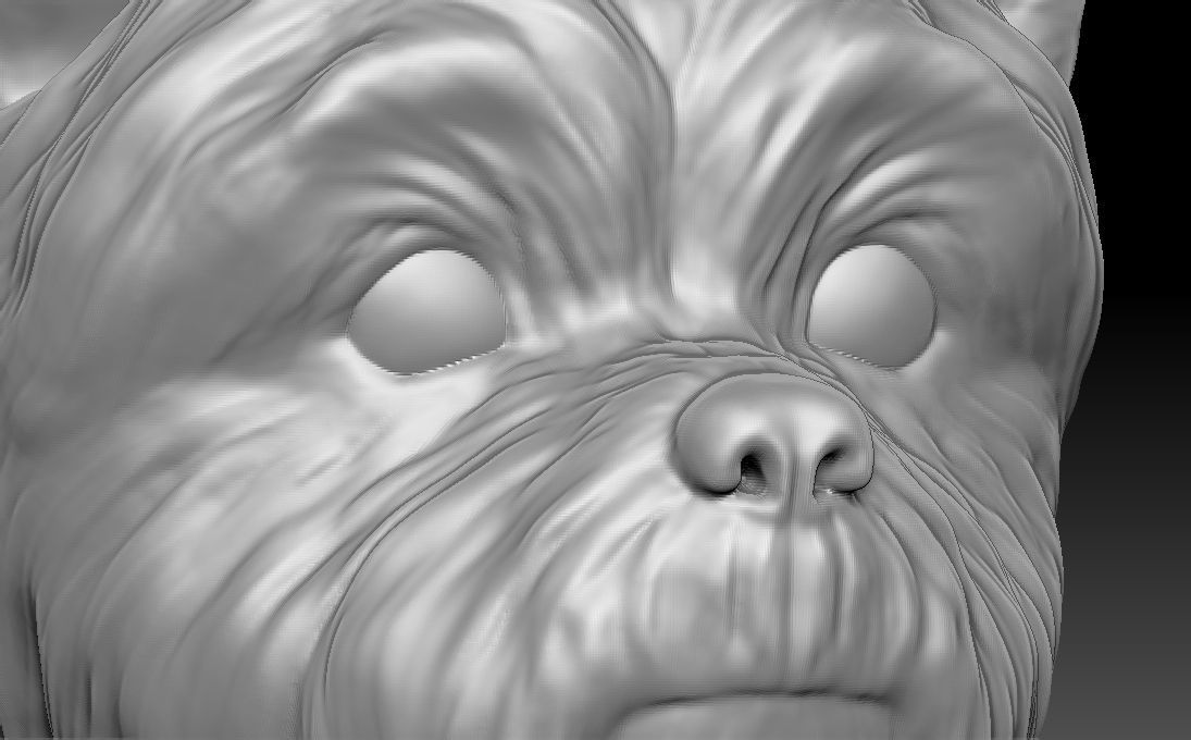 Yorkshire Terrier head for 3D printing 3D print model_17