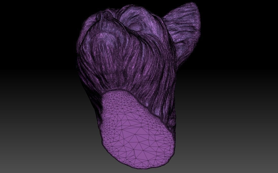 Yorkshire Terrier head for 3D printing 3D print model_25