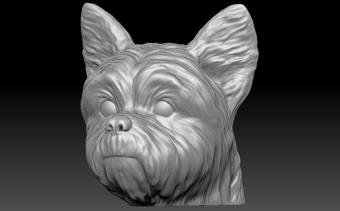 Yorkshire Terrier head for 3D printing 3D print model_4