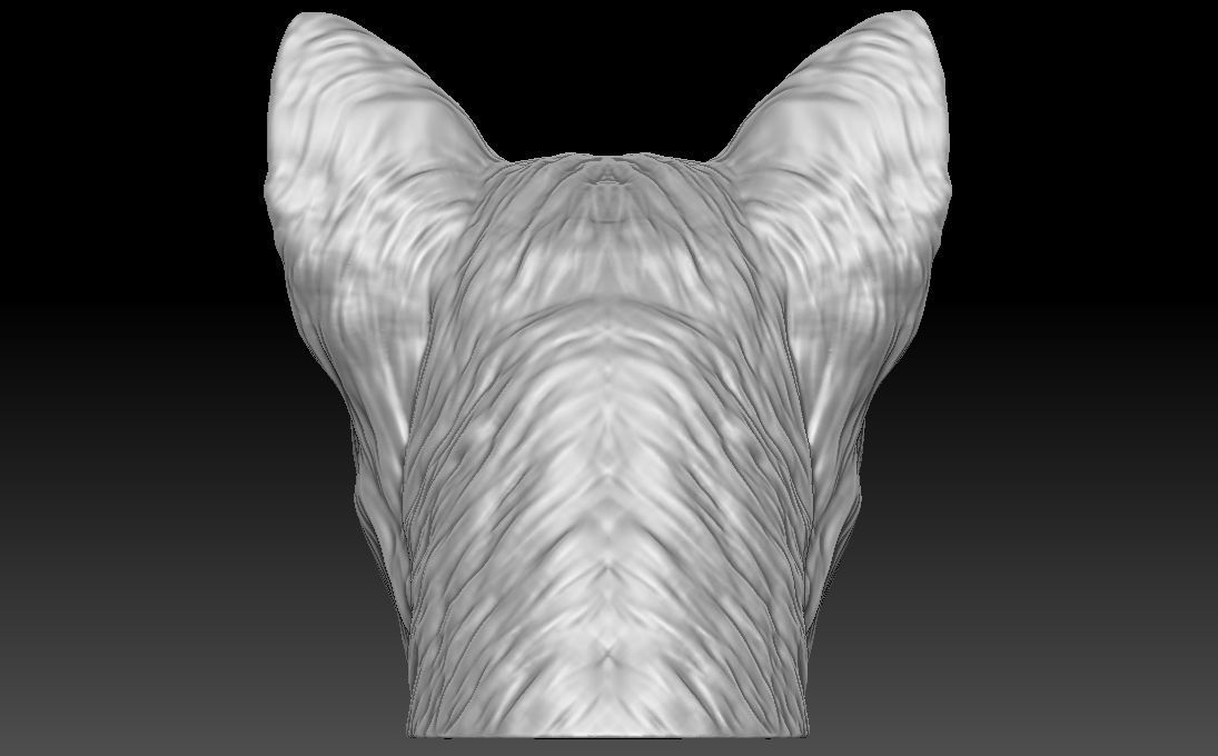 Yorkshire Terrier head for 3D printing 3D print model_9