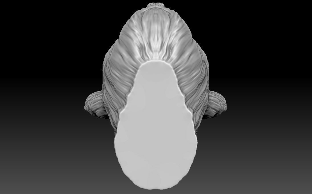 Yorkshire Terrier head for 3D printing 3D print model_21