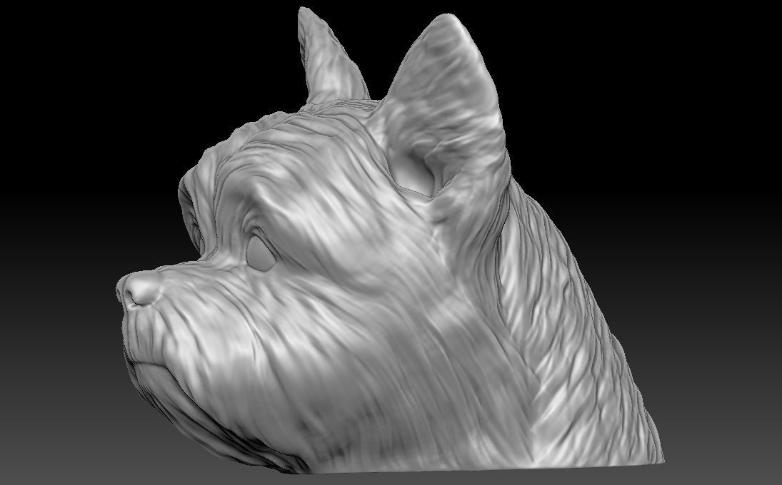 Yorkshire Terrier head for 3D printing 3D print model_6