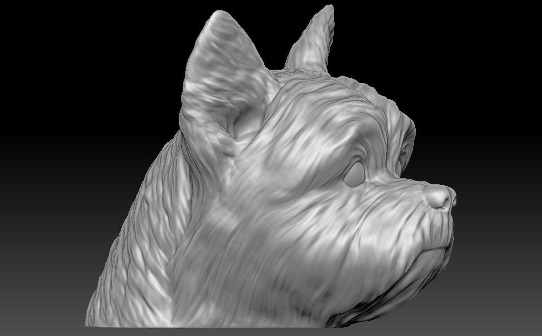 Yorkshire Terrier head for 3D printing 3D print model_13