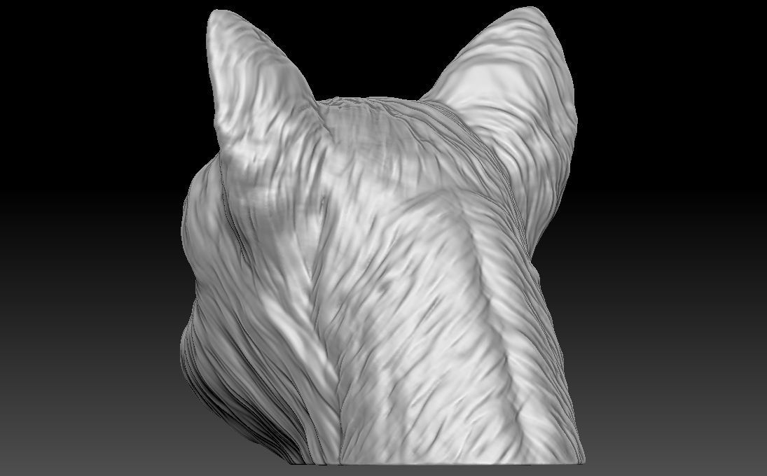 Yorkshire Terrier head for 3D printing 3D print model_8