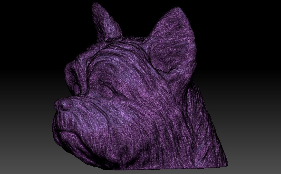 Yorkshire Terrier head for 3D printing 3D print model_24