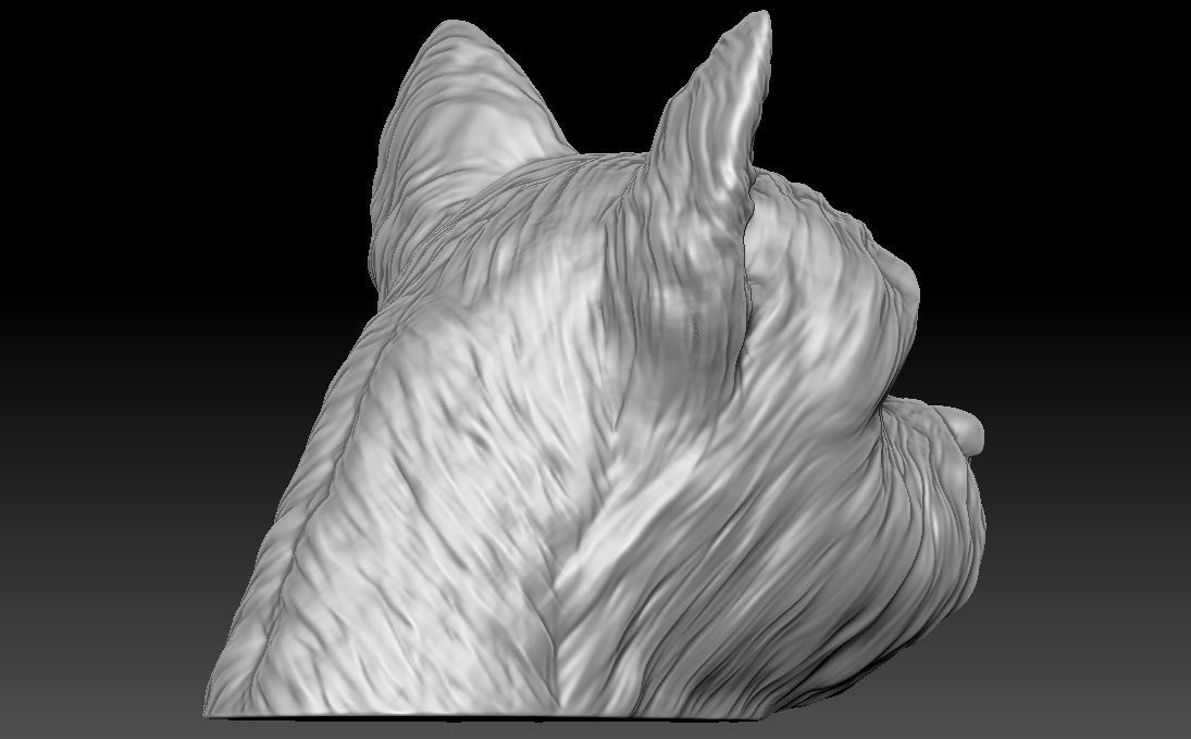 Yorkshire Terrier head for 3D printing 3D print model_11