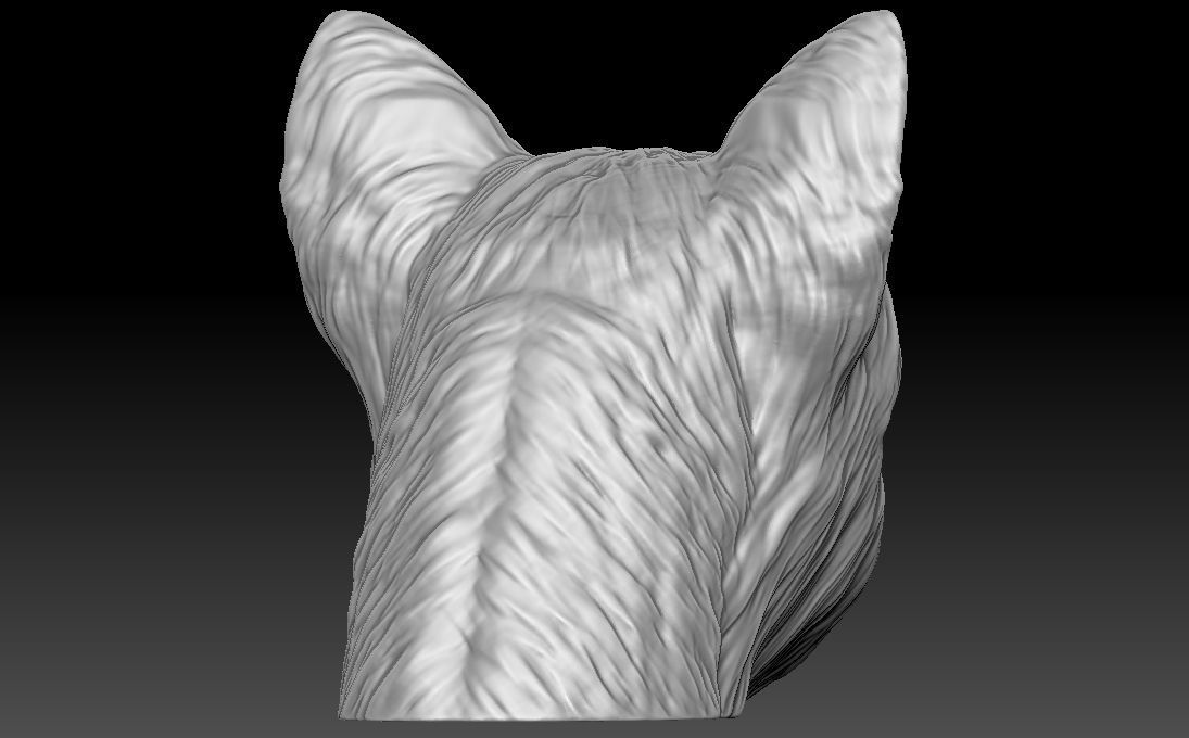 Yorkshire Terrier head for 3D printing 3D print model_10