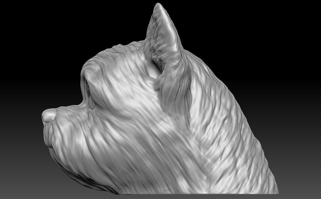 Yorkshire Terrier head for 3D printing 3D print model_7