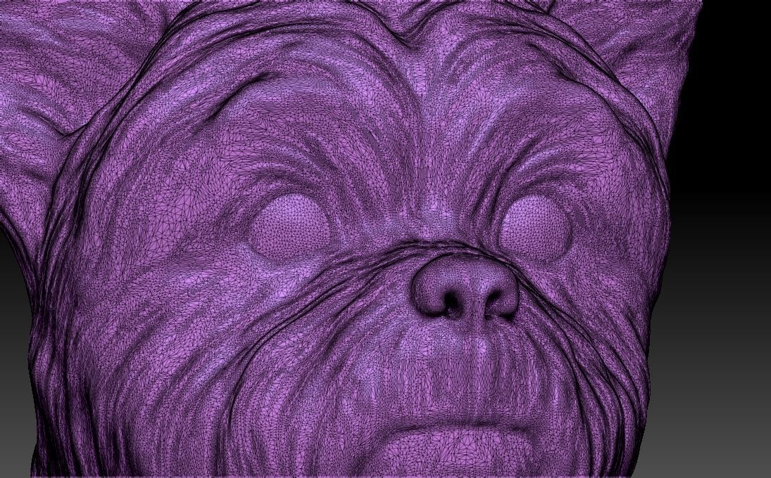 Yorkshire Terrier head for 3D printing 3D print model_22