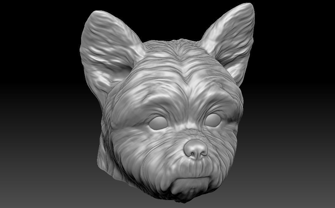 Yorkshire Terrier head for 3D printing 3D print model_14