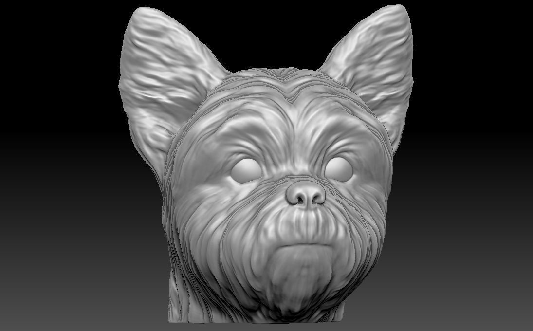 Yorkshire Terrier head for 3D printing 3D print model_1