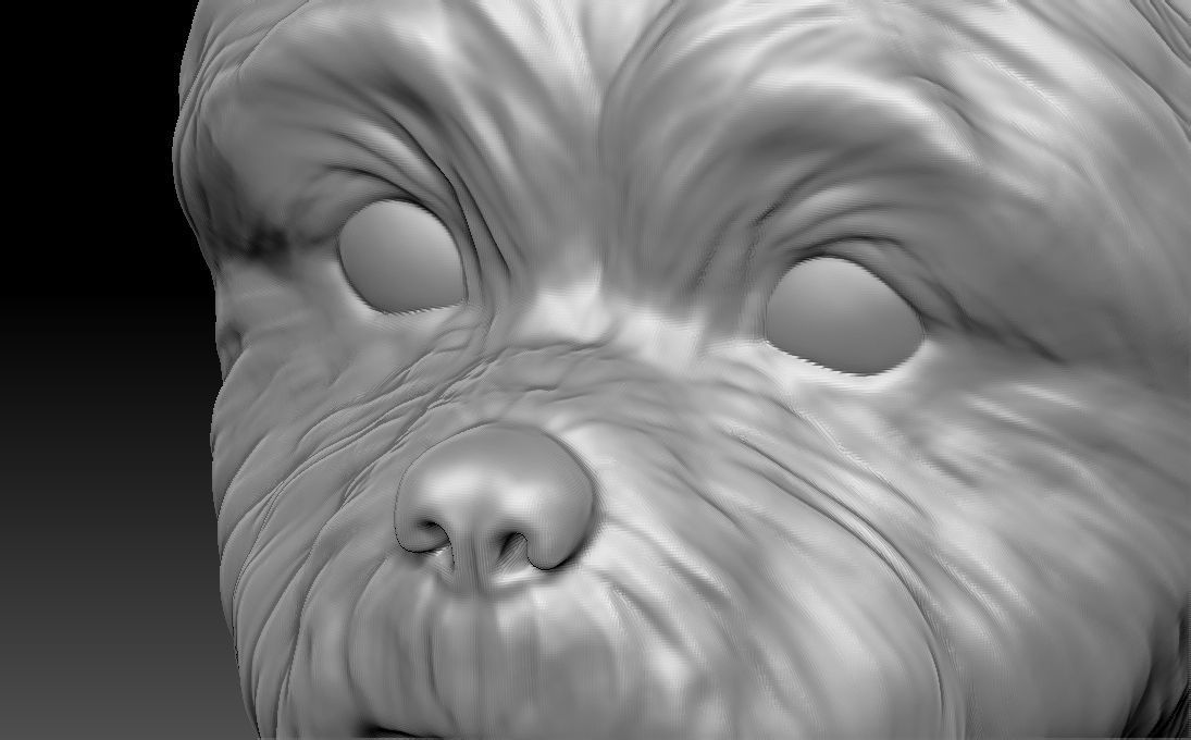 Yorkshire Terrier head for 3D printing 3D print model_18