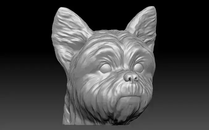 Yorkshire Terrier head for 3D printing 3D print model