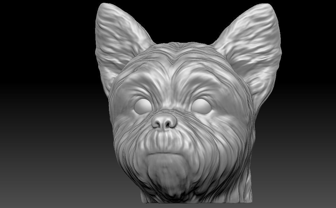 Yorkshire Terrier head for 3D printing 3D print model_3