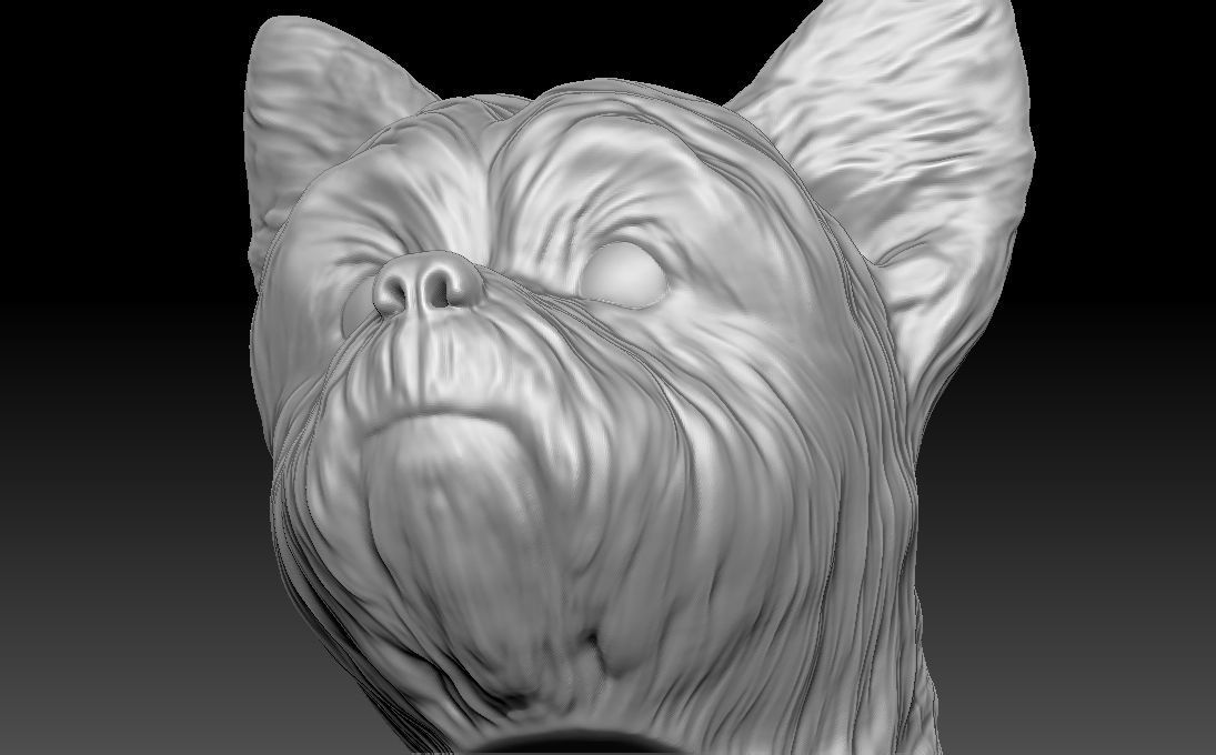 Yorkshire Terrier head for 3D printing 3D print model_19