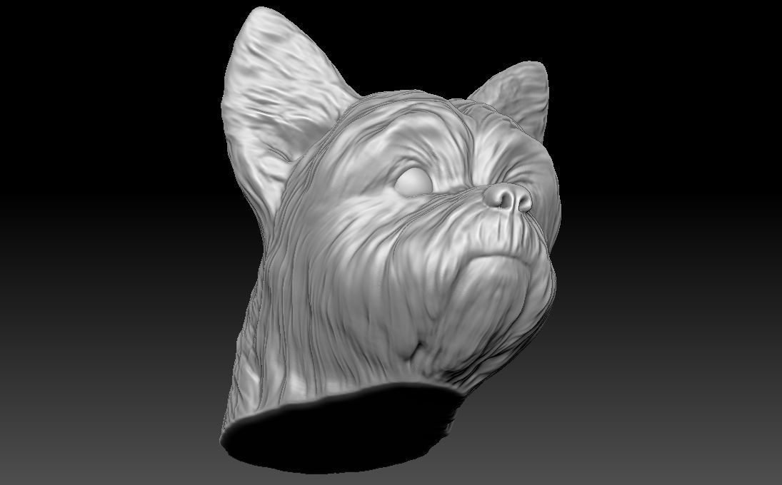 Yorkshire Terrier head for 3D printing 3D print model_20
