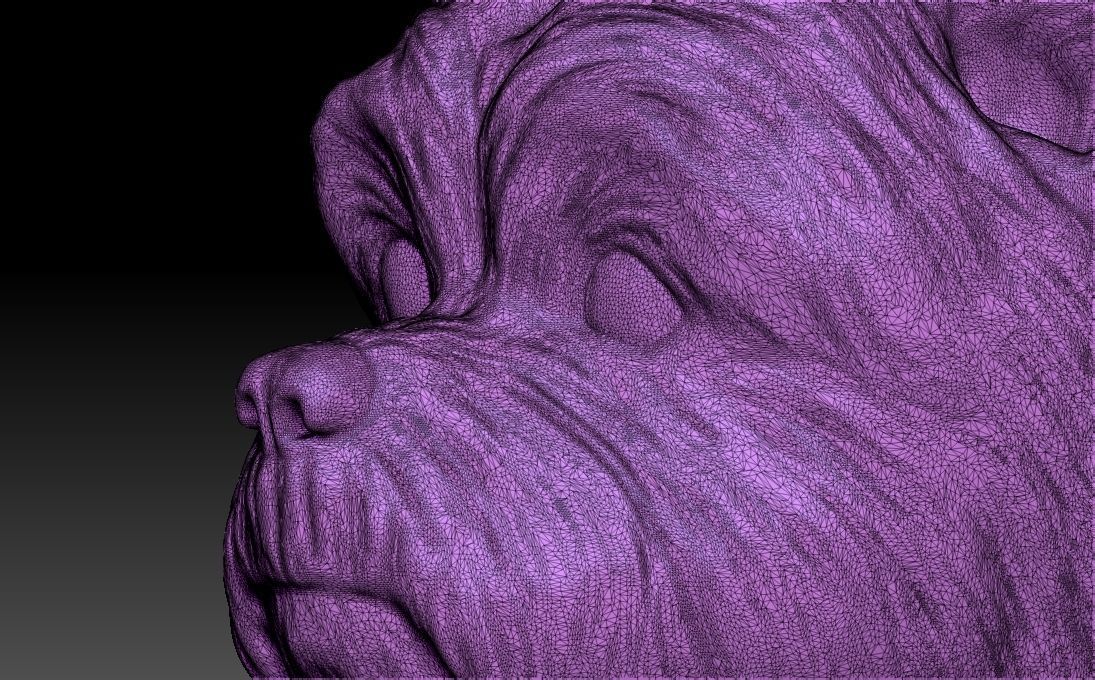 Yorkshire Terrier head for 3D printing 3D print model_23