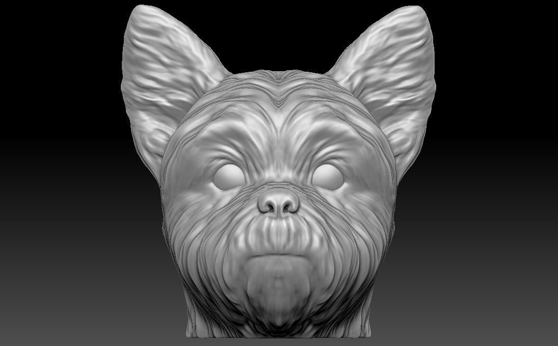 Yorkshire Terrier head for 3D printing 3D print model_2