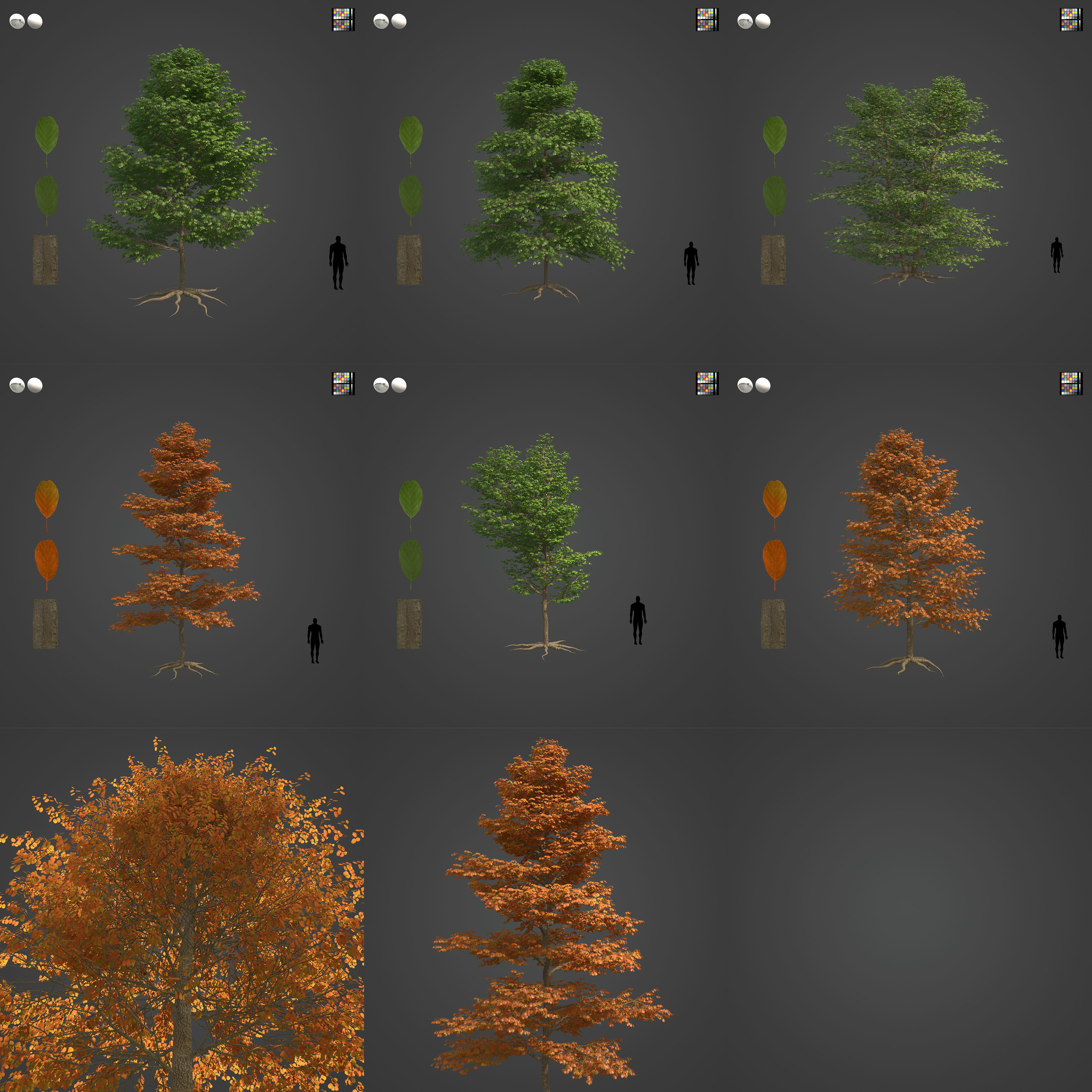 2021 PBR Black Alder Collection - Alnus Glutinosa 3D model_3