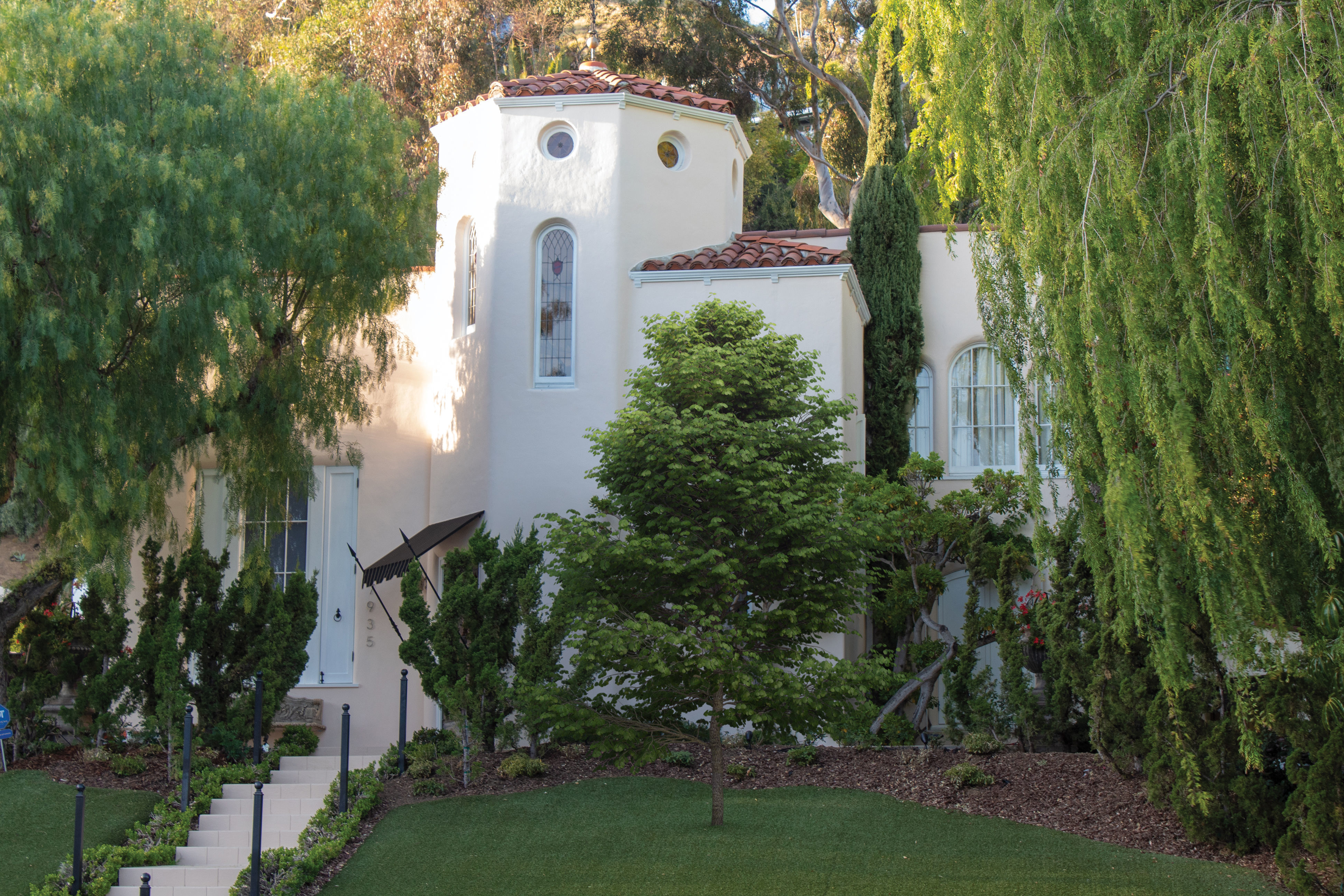 2021 PBR Black Alder Collection - Alnus Glutinosa 3D model_2