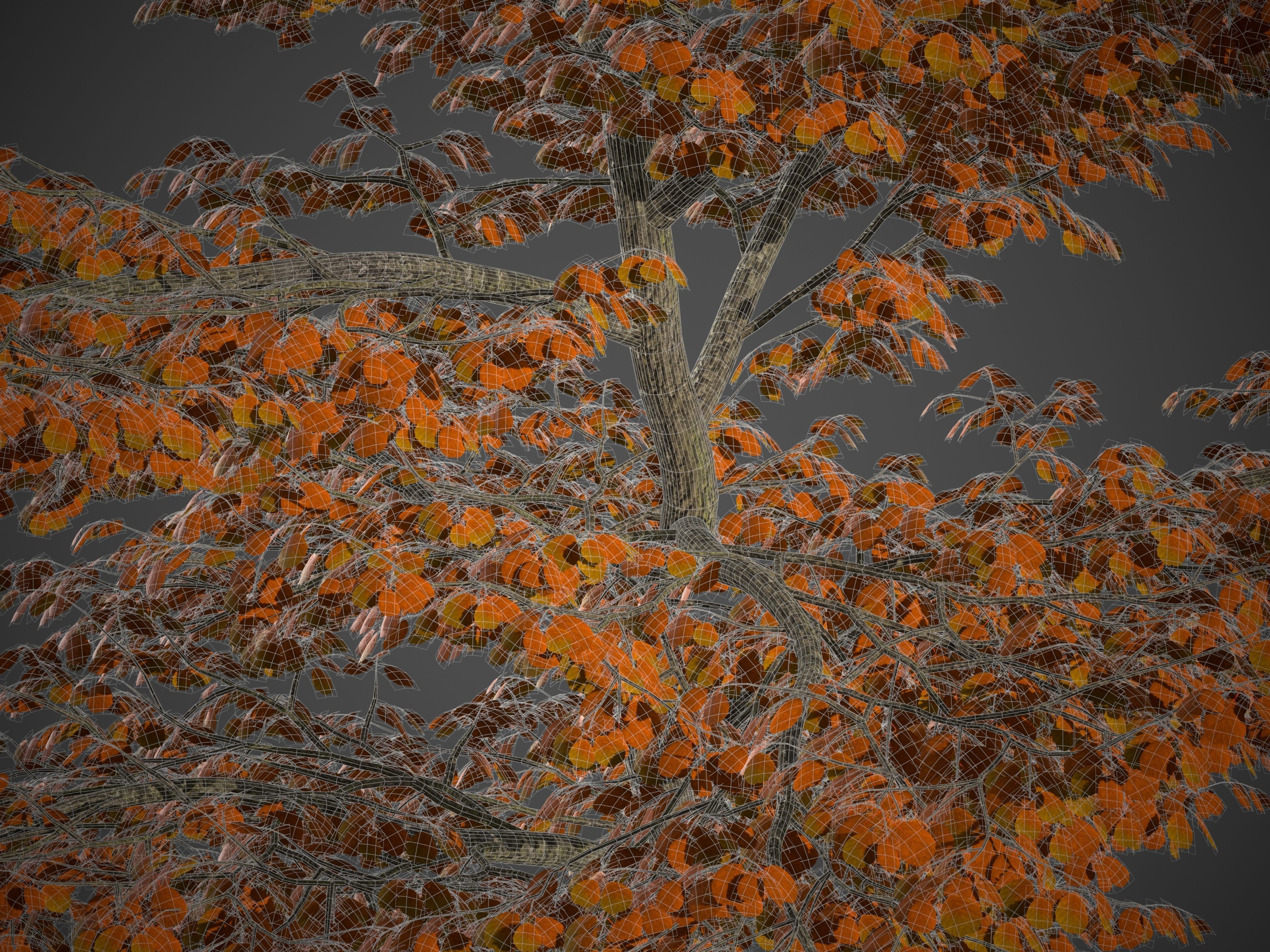 2021 PBR Black Alder Collection - Alnus Glutinosa 3D model_9