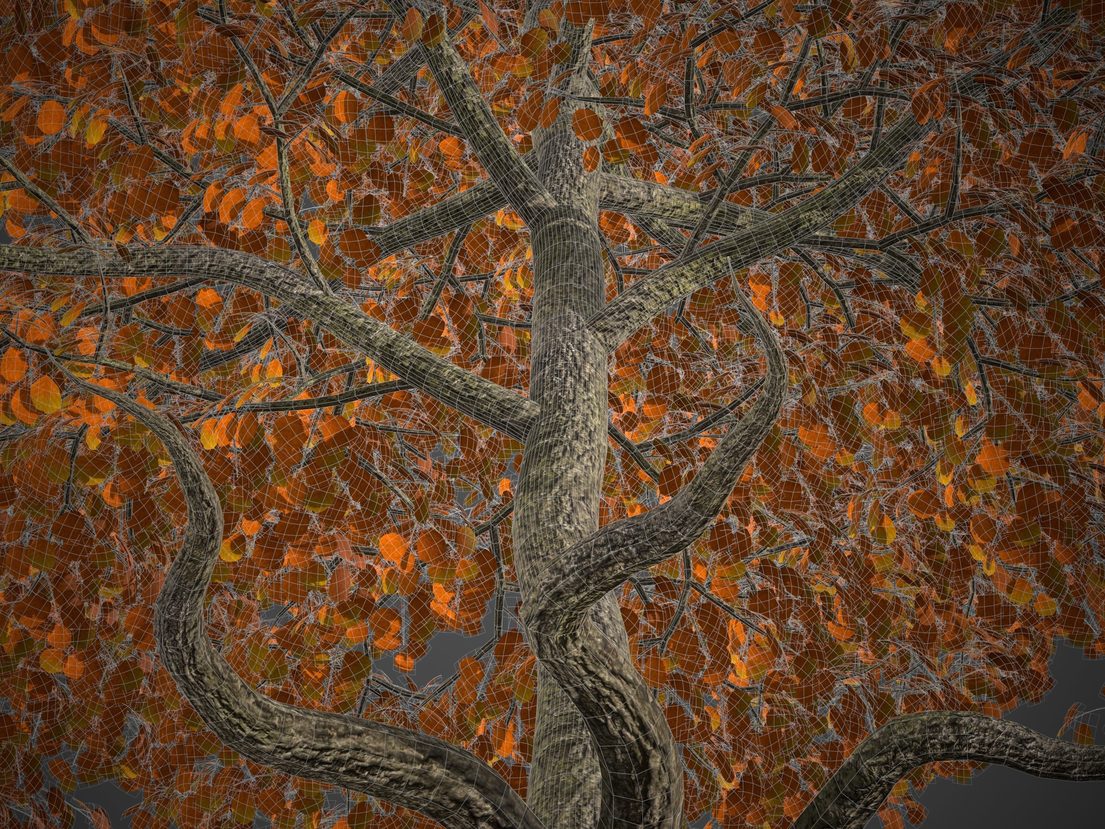 2021 PBR Black Alder Collection - Alnus Glutinosa 3D model_10