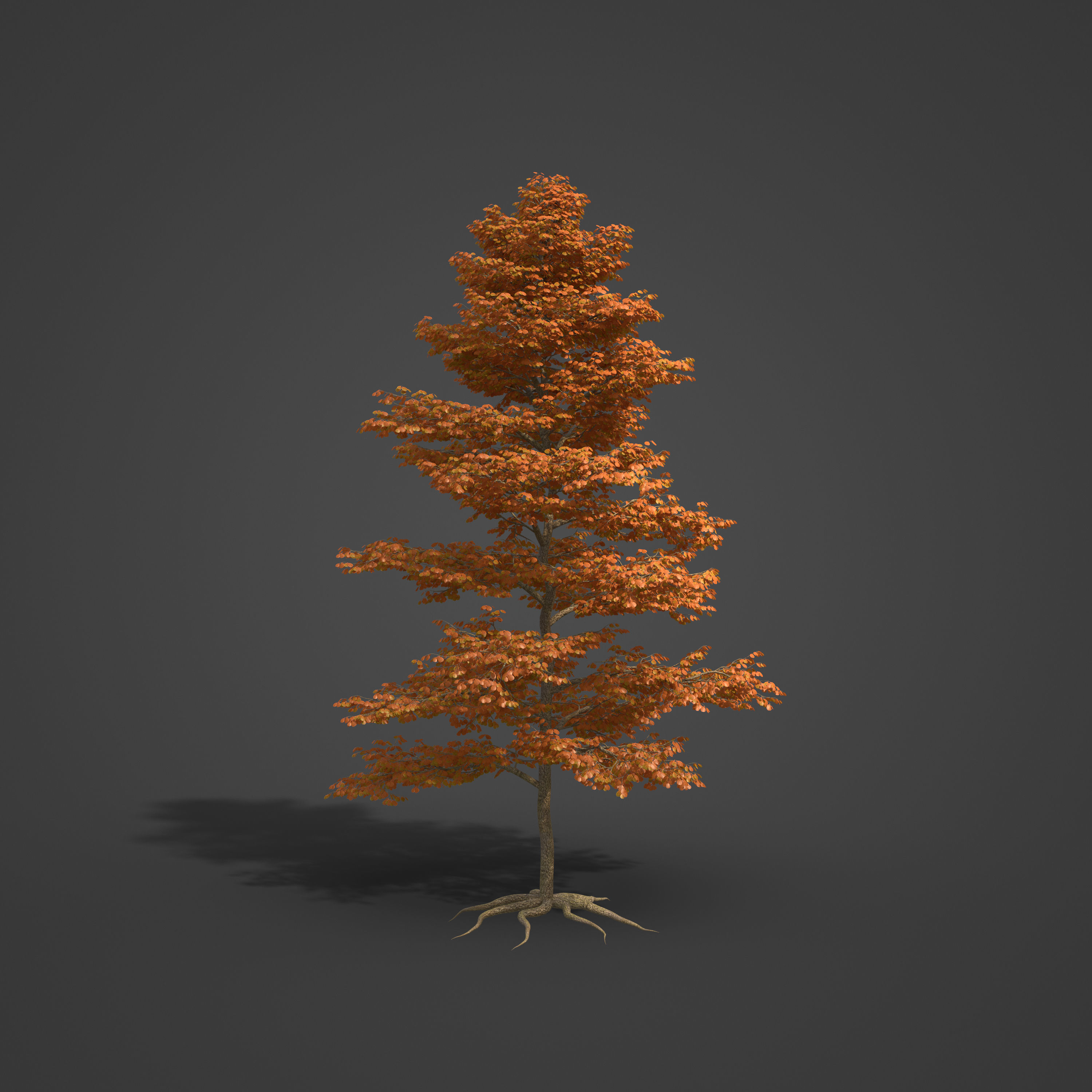 2021 PBR Black Alder Collection - Alnus Glutinosa 3D model_7