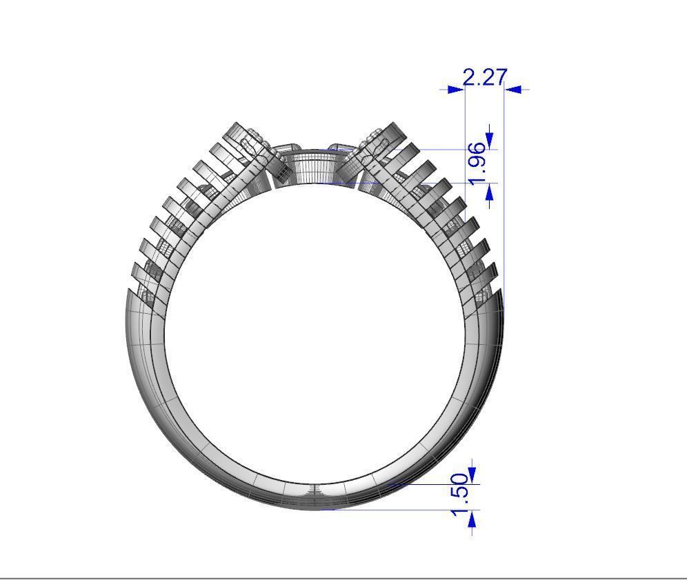 Zebra ring 3D print model_14