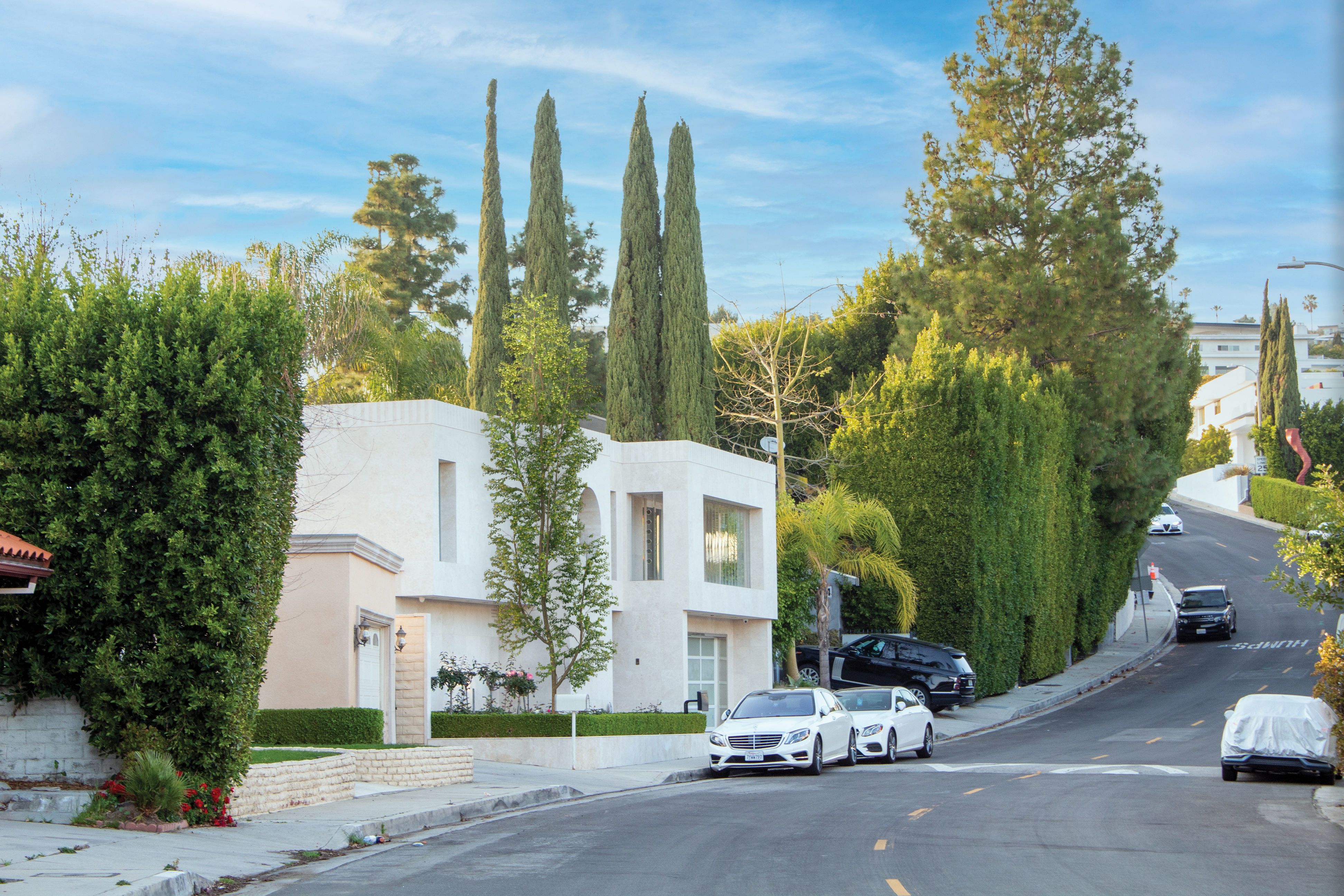 2021 PBR Broad Leaved Linden Collection - Tilia Platyphyllos 3D model_2