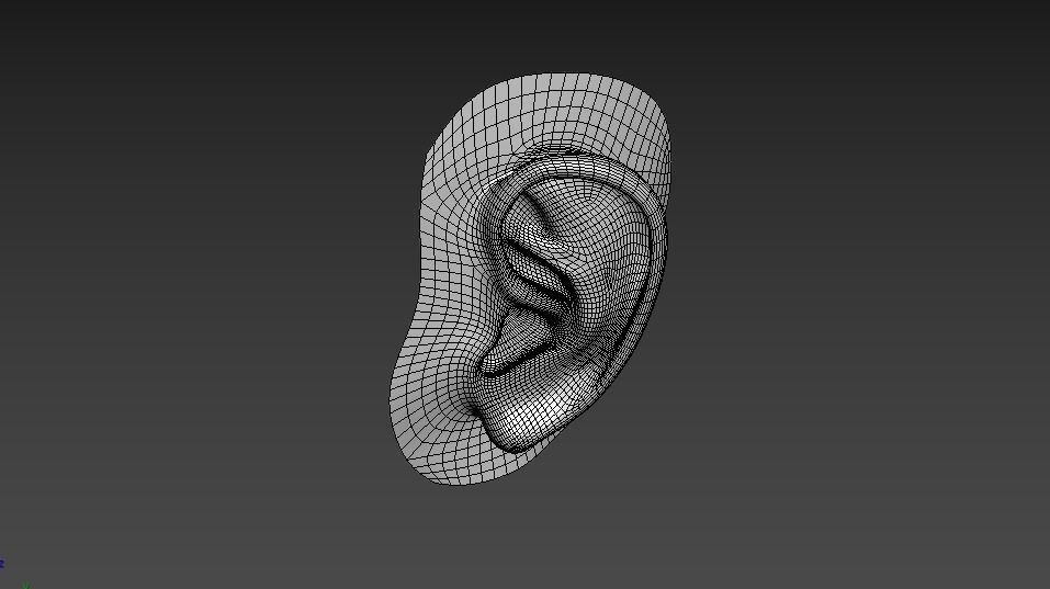 Ear Human Low-poly 3D model_15