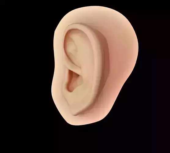 Ear Human  Low-poly 3D model
