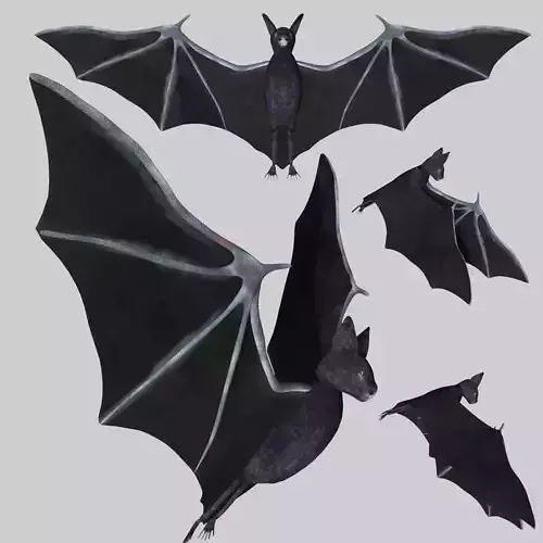 Bat with wings