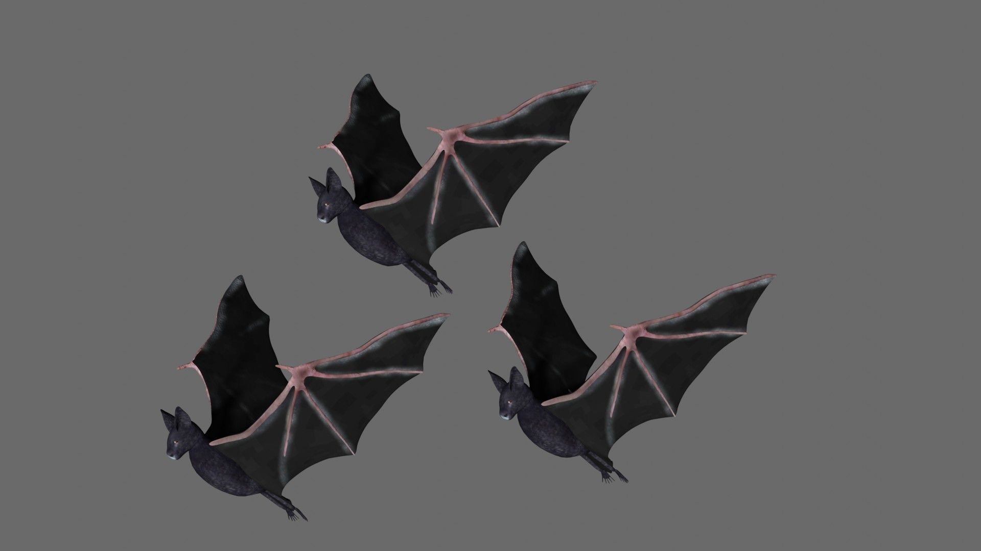 Bat with wings 2 Low-poly 3D model_5