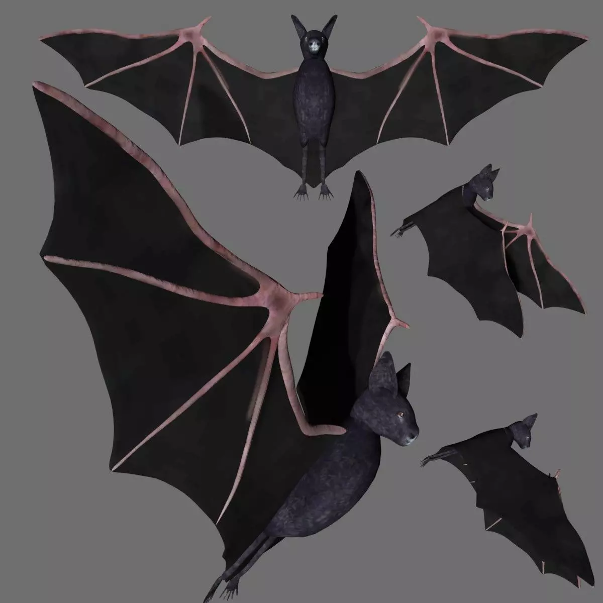 Bat with wings 2 Low-poly 3D model_0