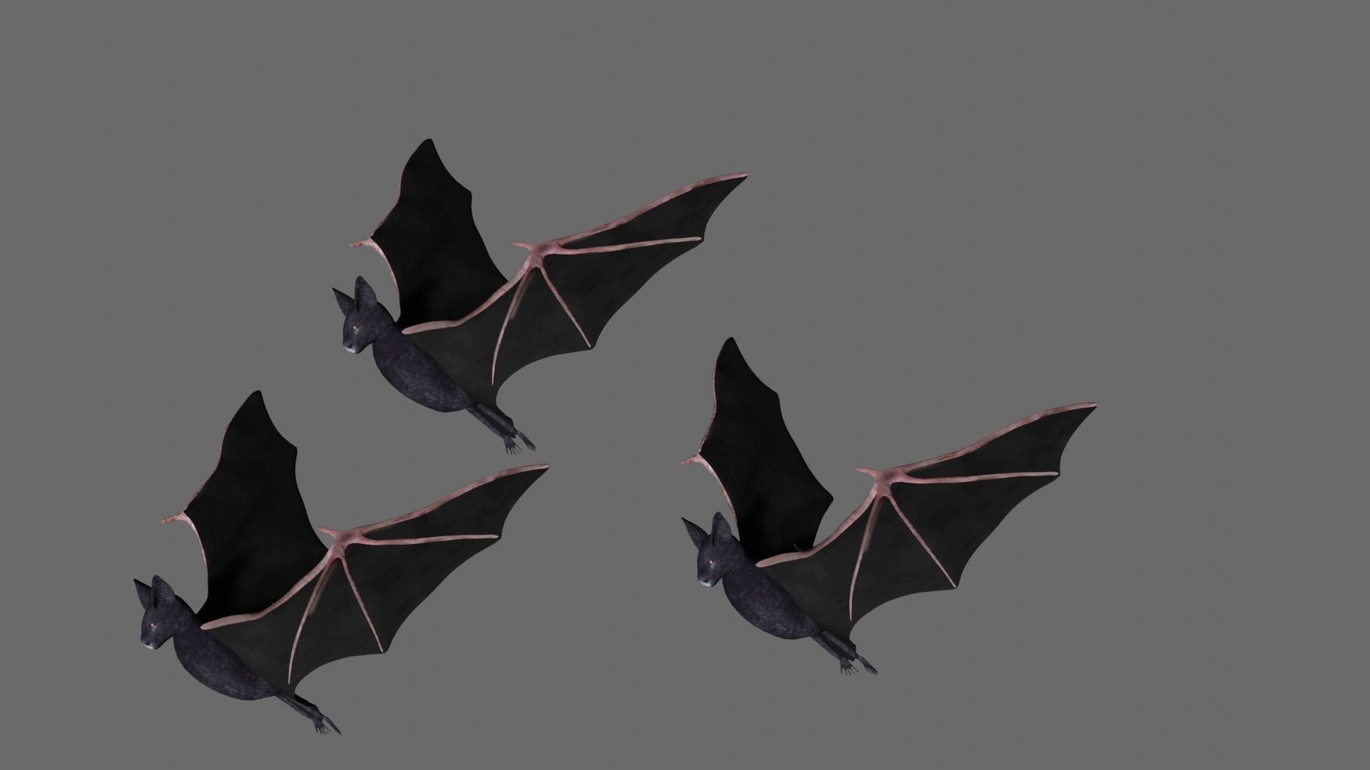Bat with wings 2 Low-poly 3D model_4