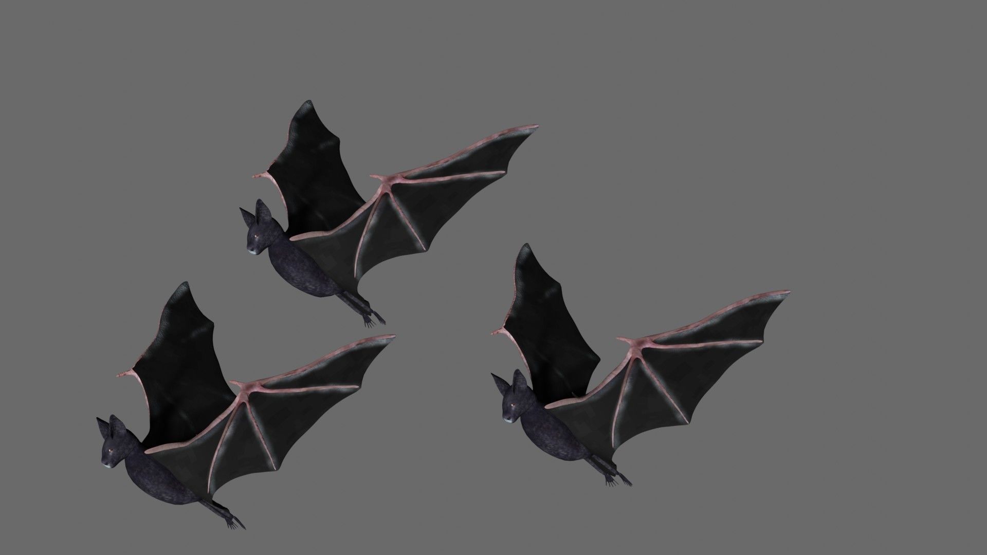 Bat with wings 3 Low-poly 3D model_4