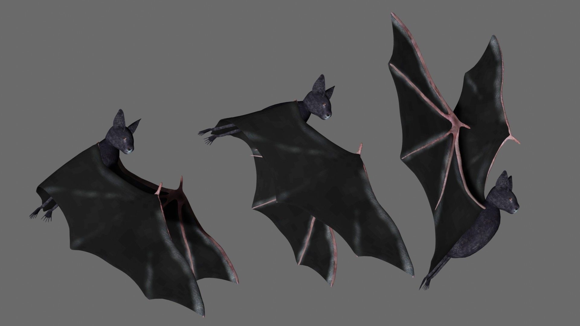Bat with wings 3 Low-poly 3D model_1