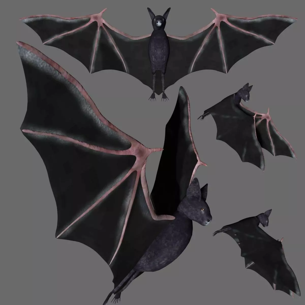 Bat with wings 3 Low-poly 3D model_0