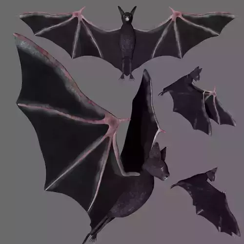 Bat with wings 3