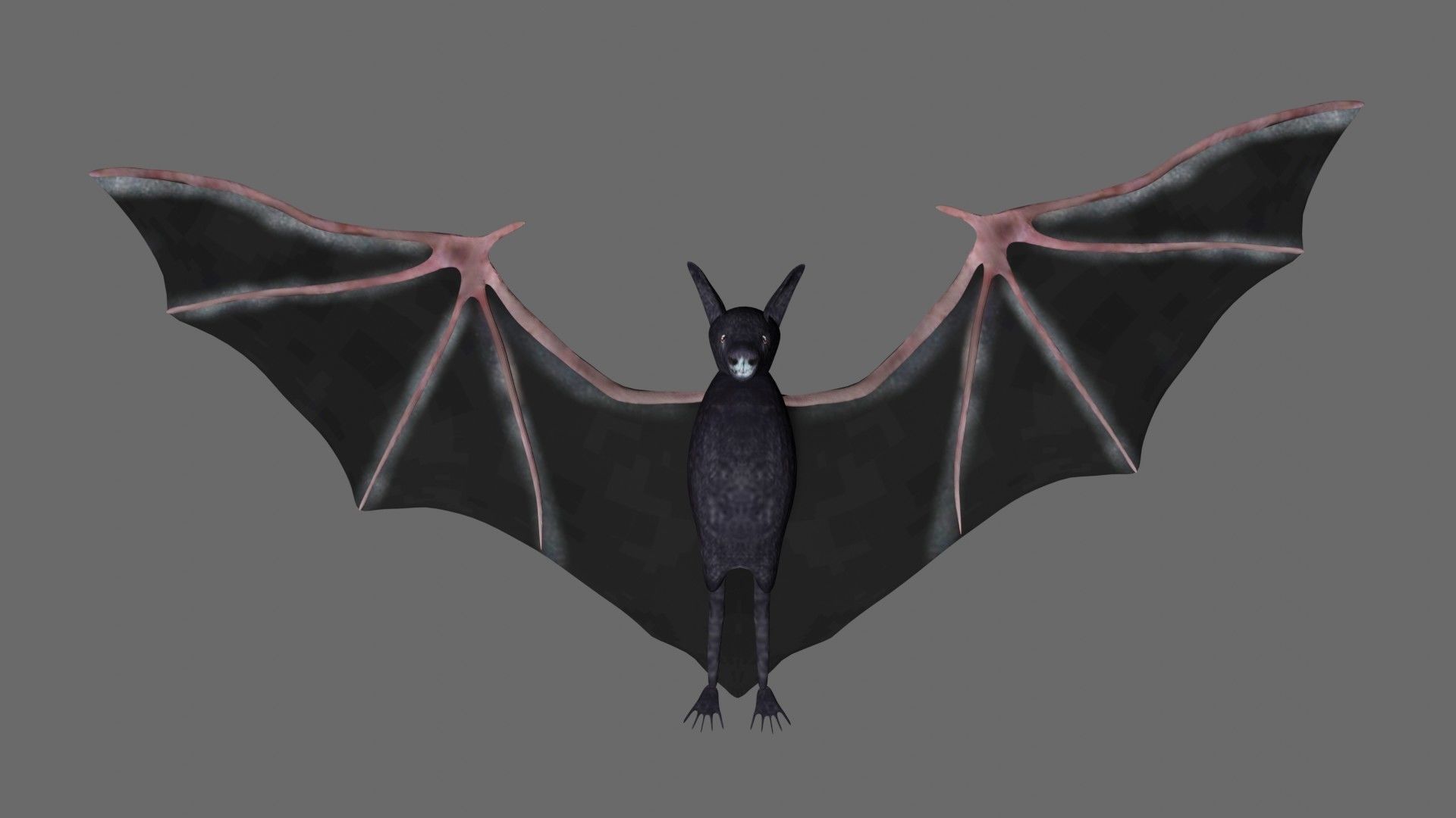 Bat with wings 3 Low-poly 3D model_2