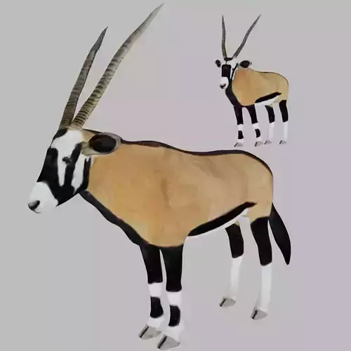 Oryx Antelope Low-poly 3D model