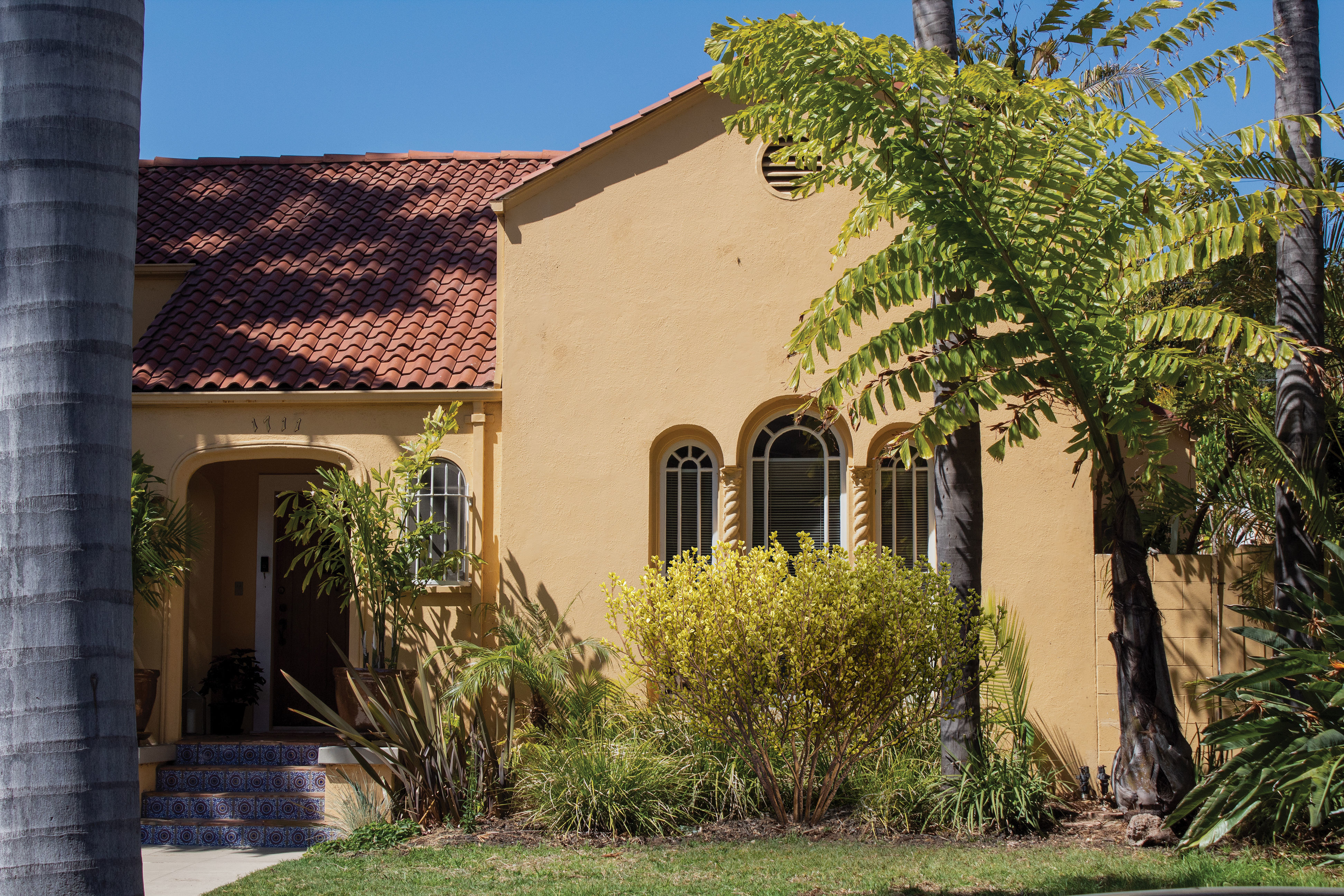 2021 PBR Cornelian Cherry Dogwood Collection - Cornus Mas  3D model_2