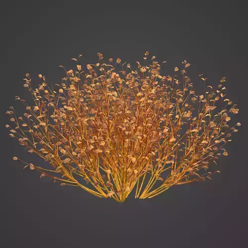 2021 PBR Bloodtwig Dogwood Collection - Cornus Sanguinea 3D model