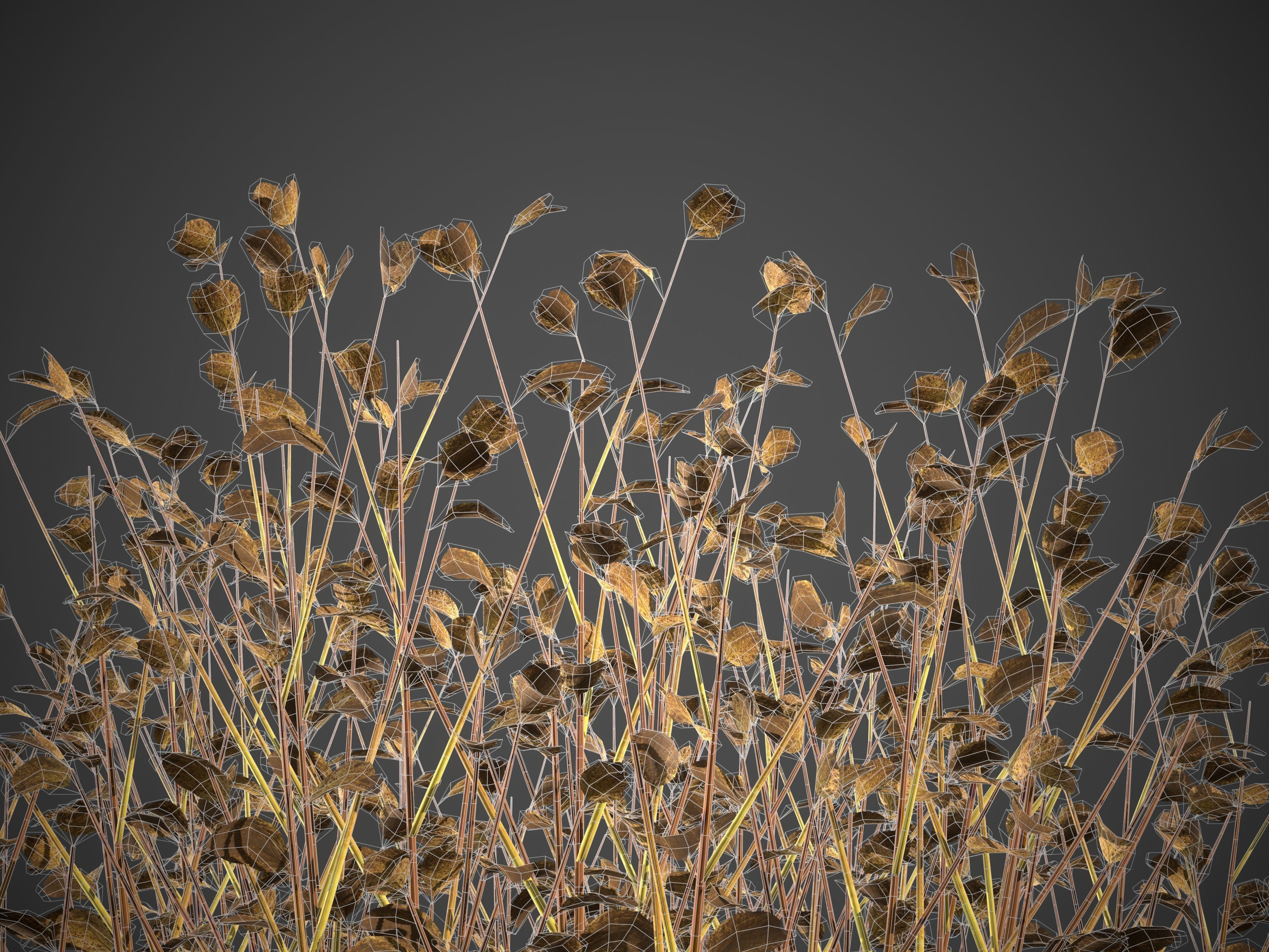 2021 PBR Bloodtwig Dogwood Collection - Cornus Sanguinea 3D model_11