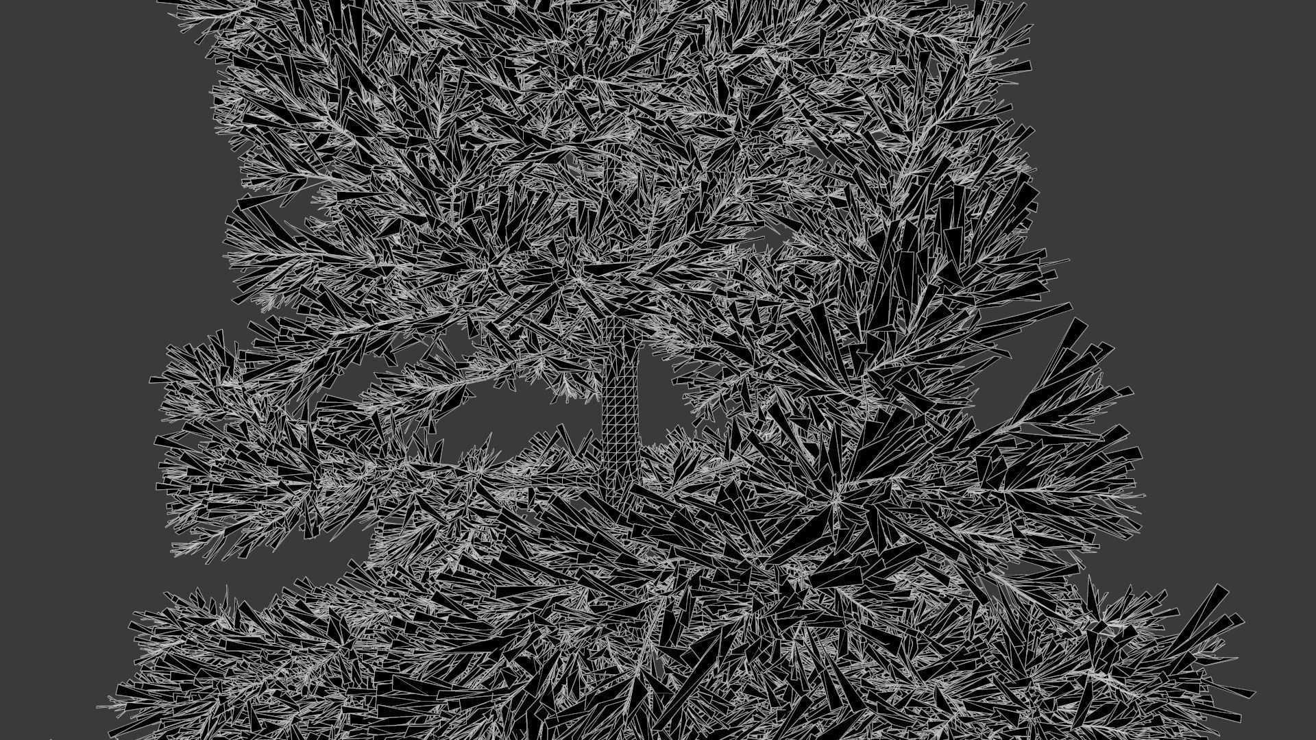 Conifer Tree 003 3D model_6