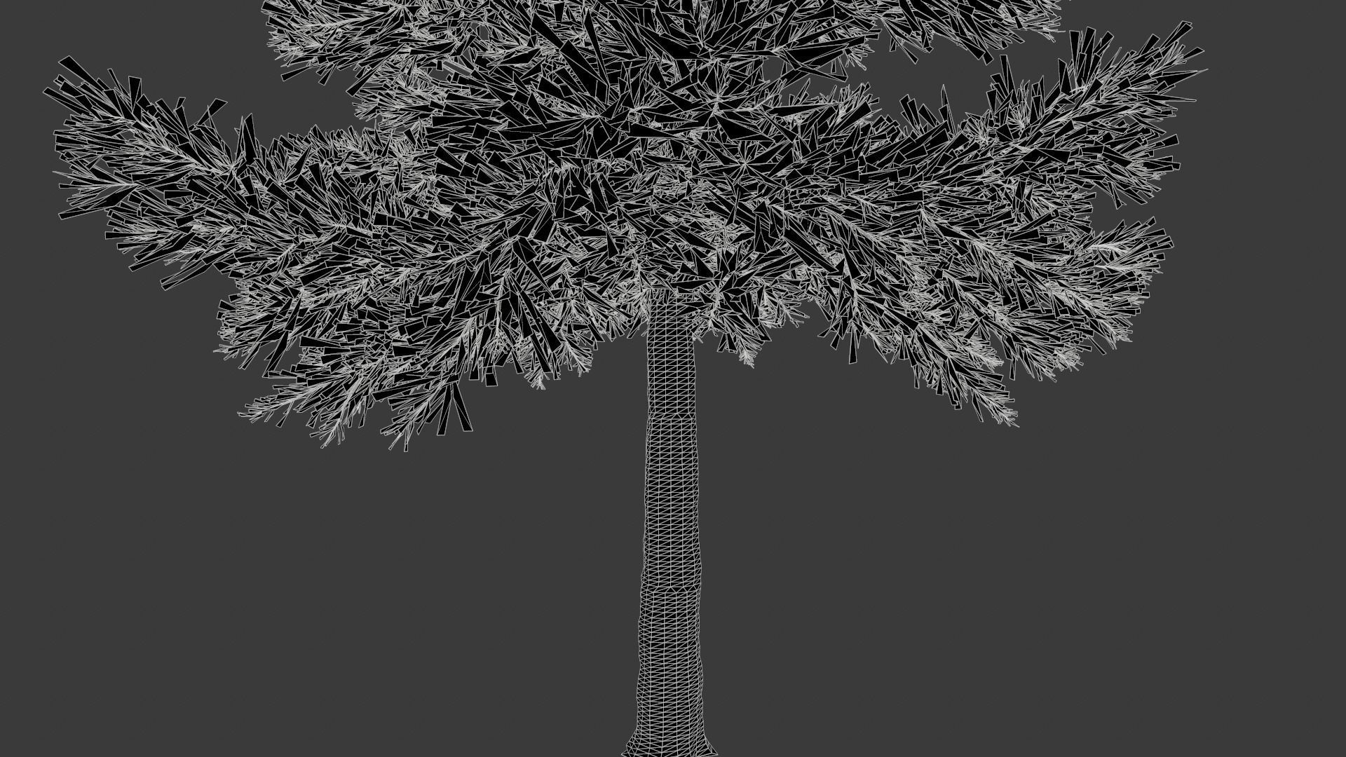 Conifer Tree 003 3D model_5