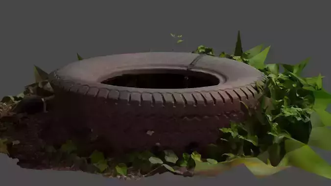 abandoned tire