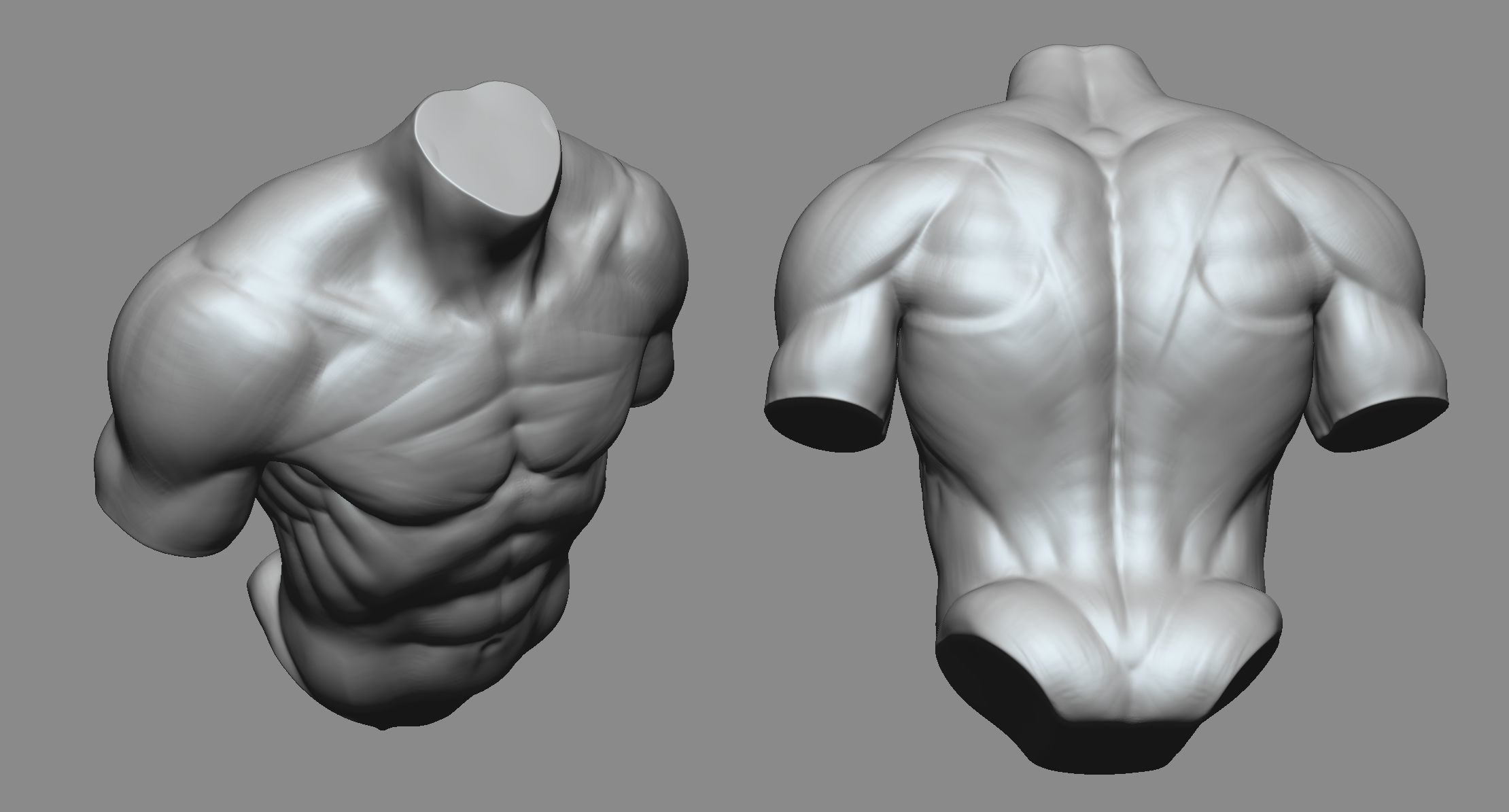Torso 3D print model_4